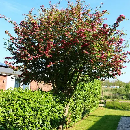 Vakantiehuis Stormvloed Julianadorp