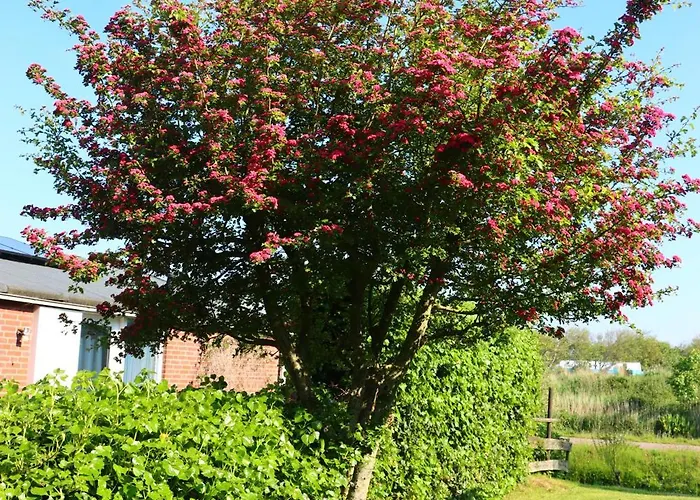 Holiday home Stormvloed Julianadorp
